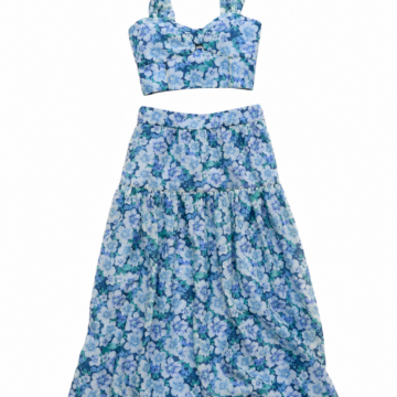 Blue Floral Print Crop Top and Maxi Skirt Two-Piece Set