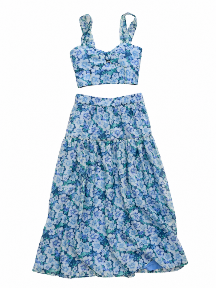 Blue Floral Print Crop Top and Maxi Skirt Two-Piece Set
